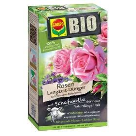 Blume, Pflanze, Rose, Kräuterig, Kräuter