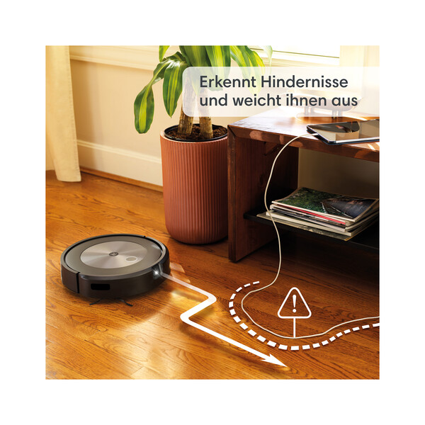 Innenarchitektur, Holz, Pflanze, Pflanze im Topf, Bodenbeläge