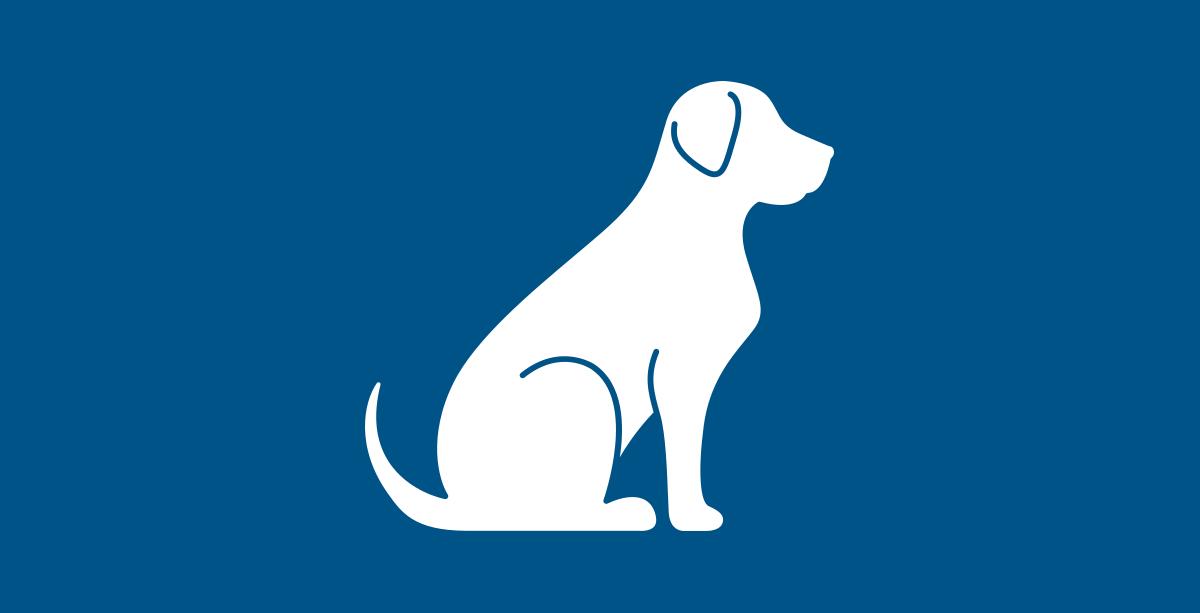 Tier, Bär, Säugetier, Tierwelt, Tier, Bär, Säugetier, Tierwelt, Tier, Bär, Säugetier, Tierwelt, Hund, Silhouette, Umriss, Tier, Blauer_Hintergrund