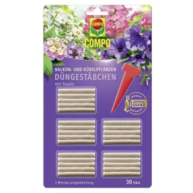 Blume, Pflanze