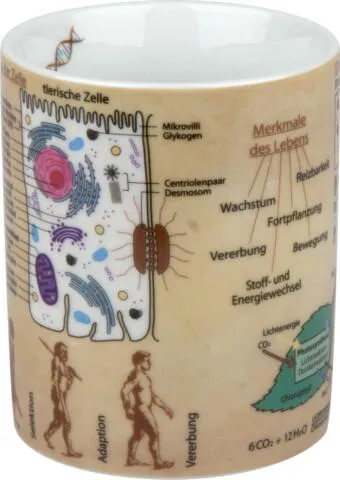 Kunst, Porzellan, Töpferei, Tasse