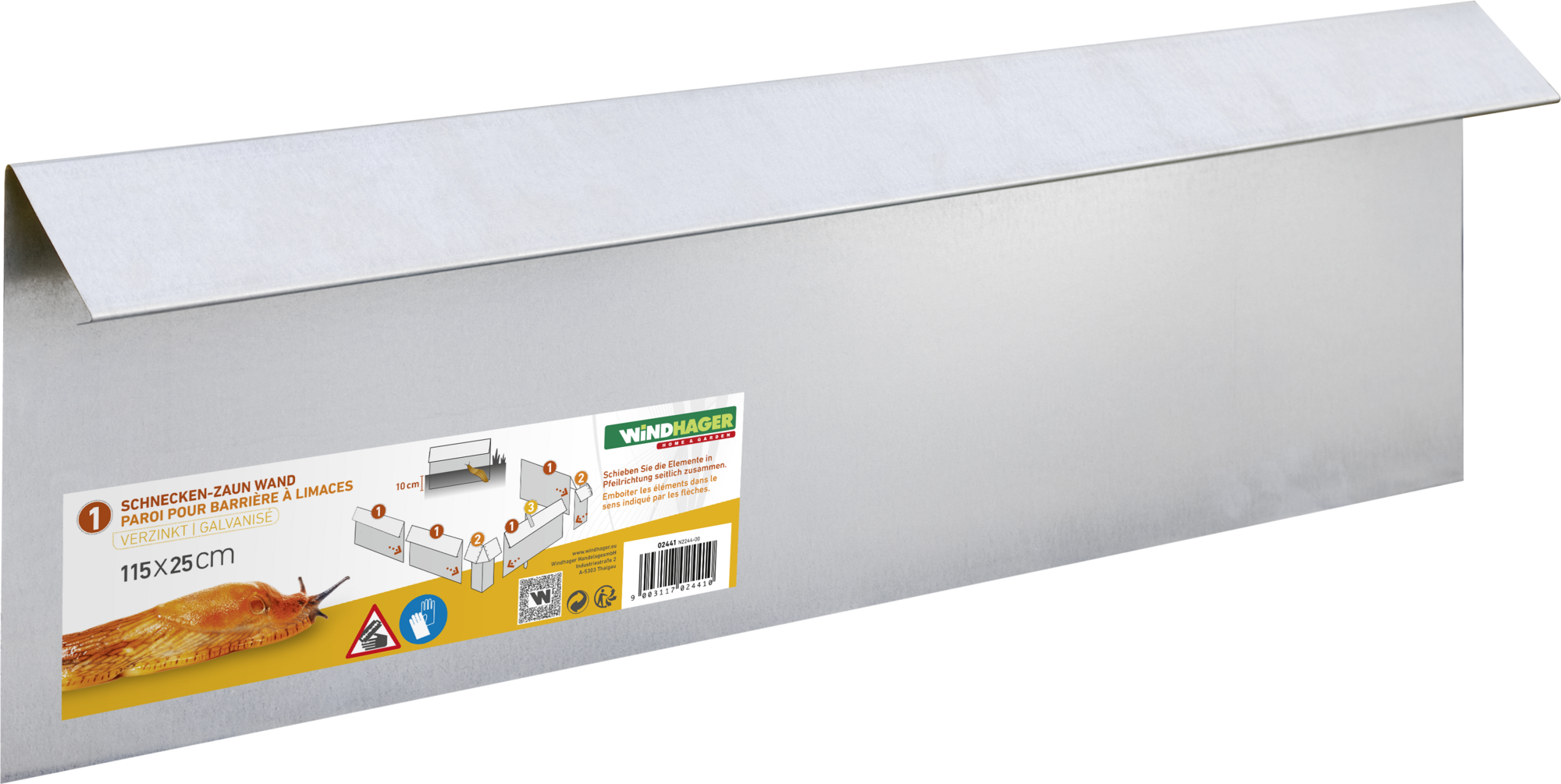 Tier, Fische, Leben im Meer