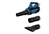 Bosch Laubbläser GBL 18V-800C (Solo)