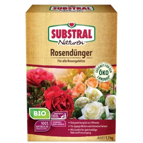 Blume, Rose, Blütenblatt, Kräuterig, Blumenstrauß