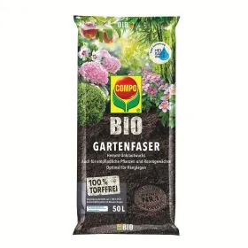 Kräuter, Pflanze, Blume, Boden
