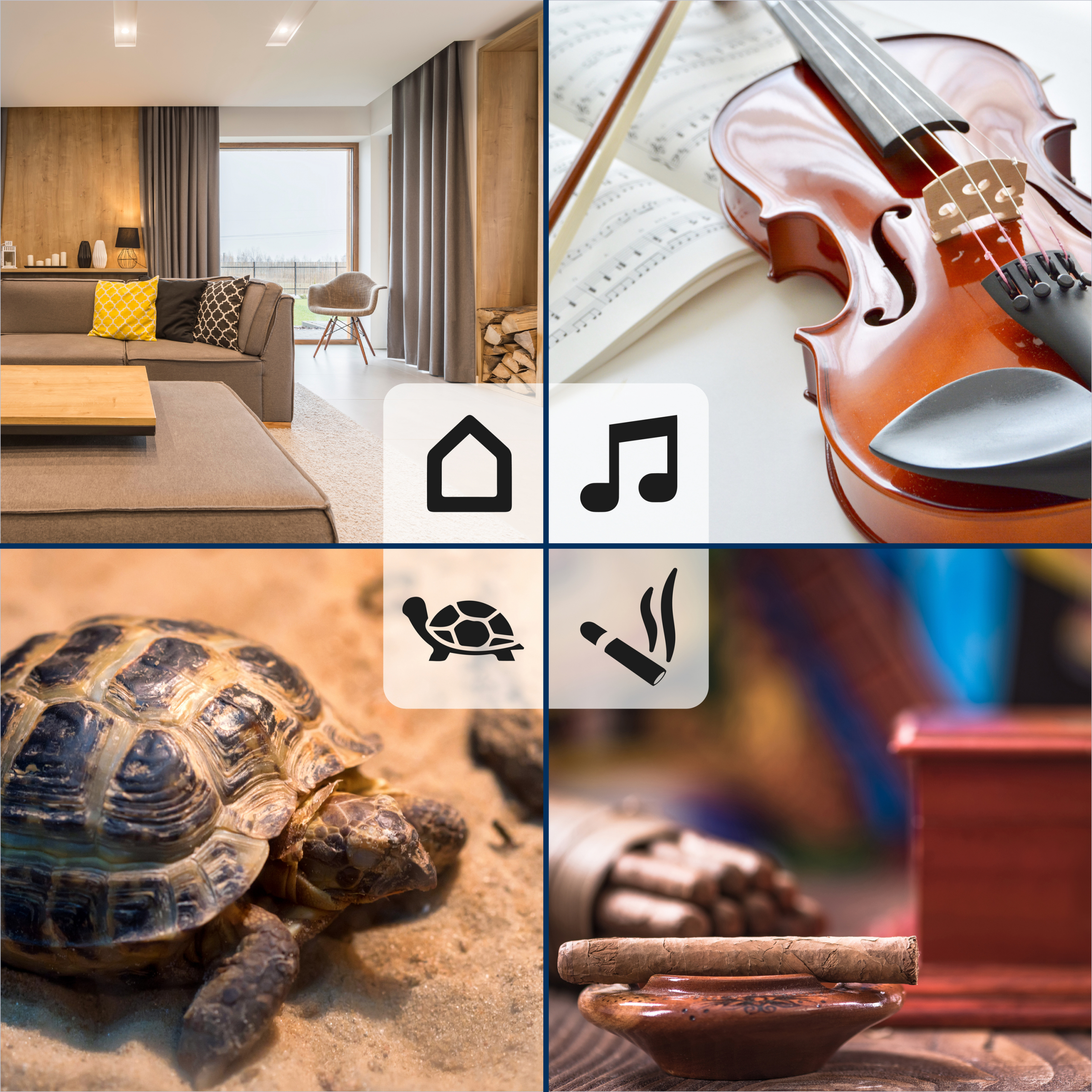 TFA-30.011594 Digitales Thermo-Hygrometer schwarz, ohne Batterie