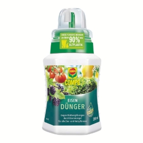 Kräuter, Pflanze, Flasche, Essen, Ketchup