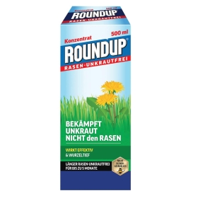 Kräuter, Pflanze, Würzen, Sirup, Blume