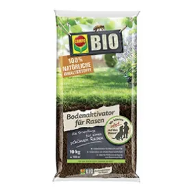 Boden, Kräuter, Pflanze
