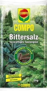 Pflanze, Vegetation, Baum, Regenwald, Dschungel