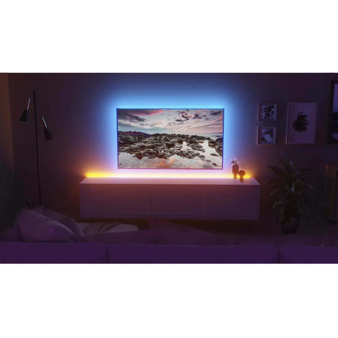 Innenarchitektur, Bildschirm, Computer-Hardware, Überwachen, Pflanze