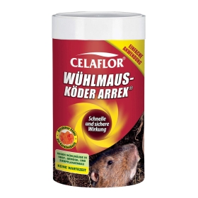 Tier, Säugetier, Ratte, Nagetier