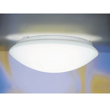 Deckenleuchte, Leuchte