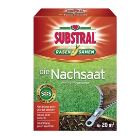 Kräuter, Pflanze, Boden