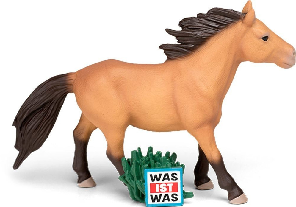 Tier, Colt Horse, Pferd, Säugetier