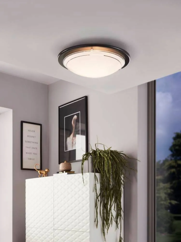 Deckenleuchte, Pflanze