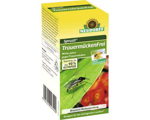 Tier, Insekt, Wirbellose