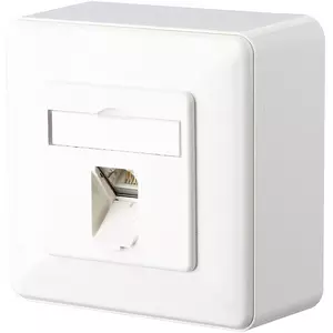 Netzwerk, Wanddose, Abdeckung, RJ-45, Datenanschluss