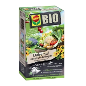 Kräuter, Pflanze, Mittagessen, Mahlzeit