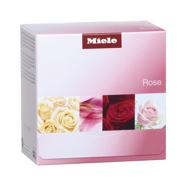 Blume, Pflanze, Rose