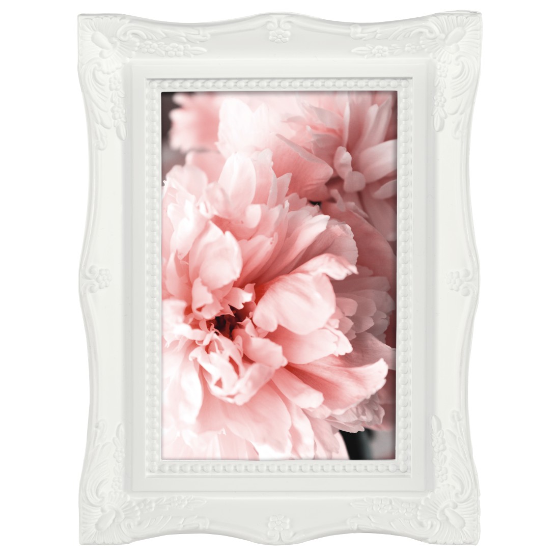 Blume, Pflanze
