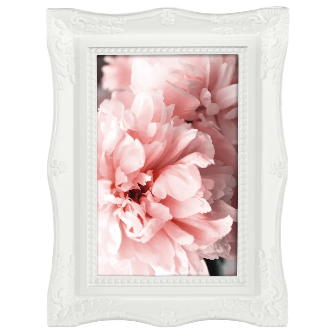 Blume, Pflanze