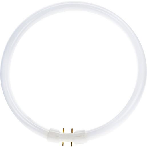 Philips Leuchtstofflampe TL5 CIRCULAR 830