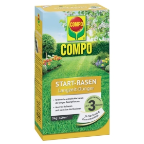 Kräuter, Pflanze, Gras