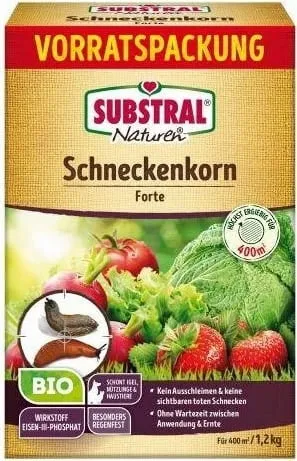 Kräuter, Pflanze