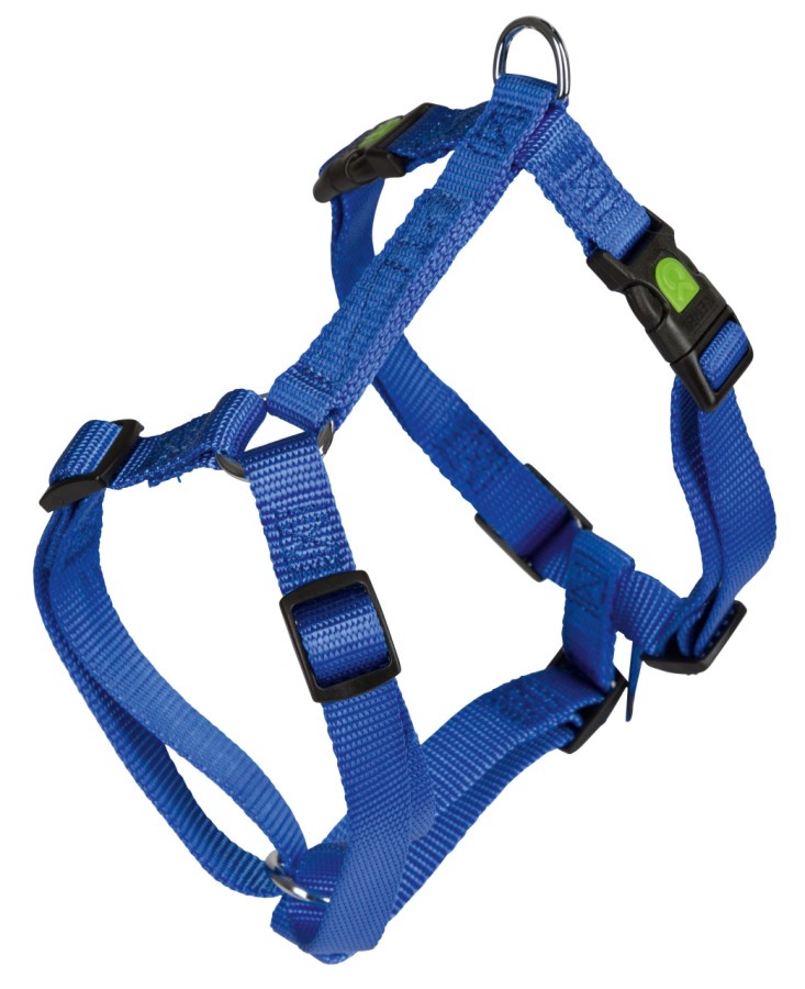 Harness