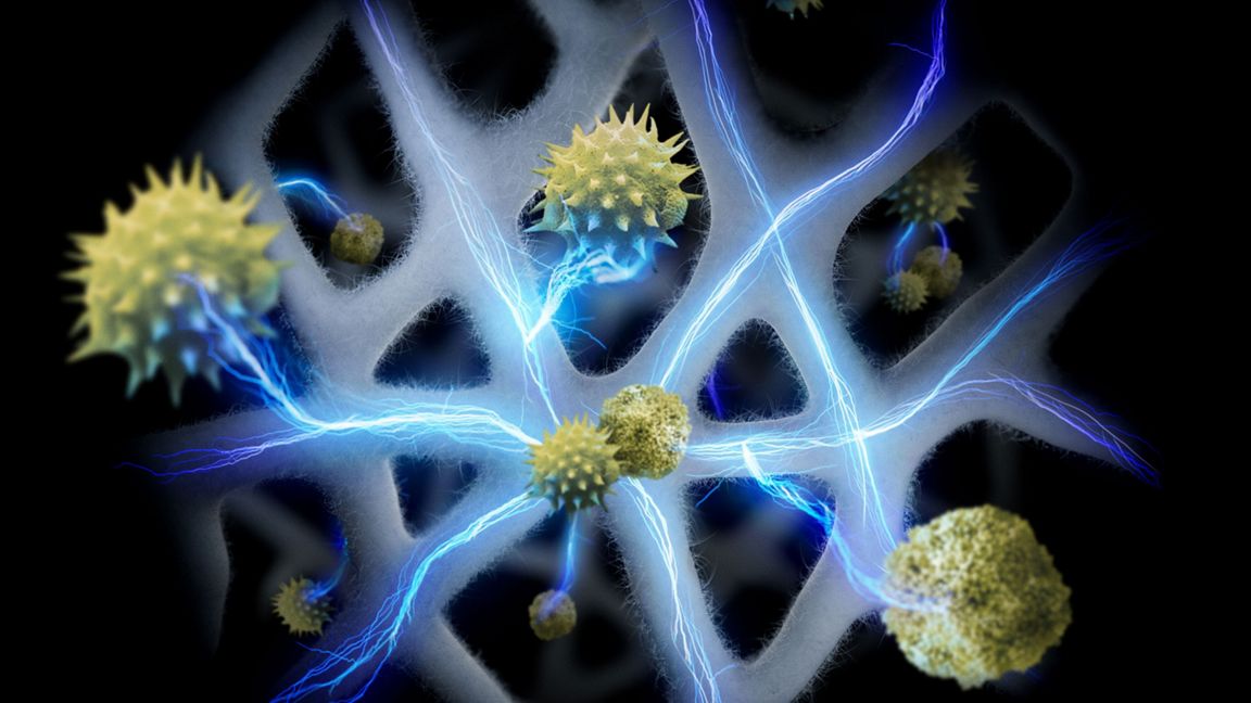 Neuron, Nervenzelle, Nervenzellen, Nervenzellfaser, Synapse