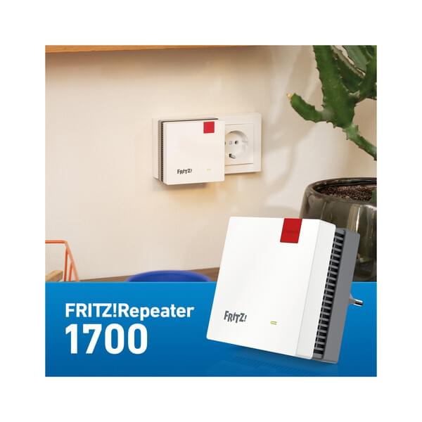 Stuhl, Mobiliar, Pflanze