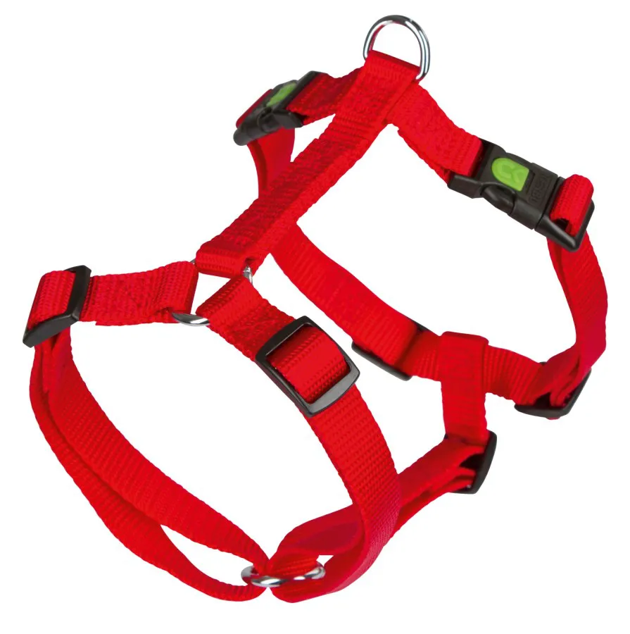 Harness