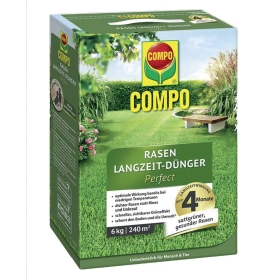 Kräuter, Pflanze, Tee, Grüner Tee