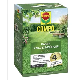 Kräuter, Pflanze, Tee, Grüner Tee