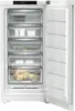 Liebherr Stand-Gefrierschrank FNa 6625-20