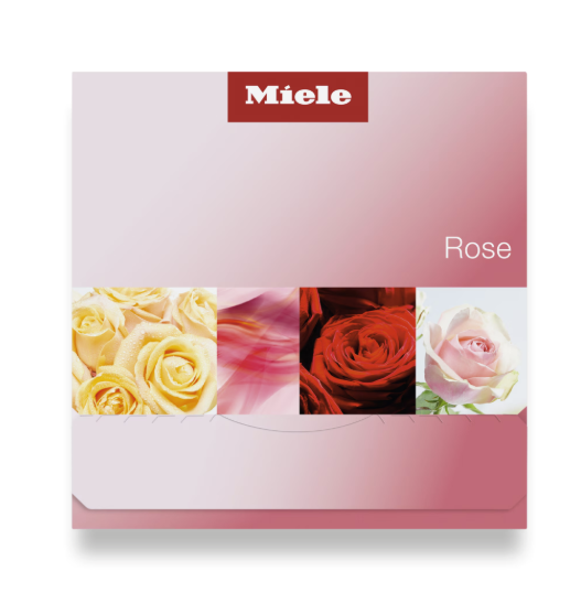 Blume, Pflanze, Rose, Grußkarte, Post