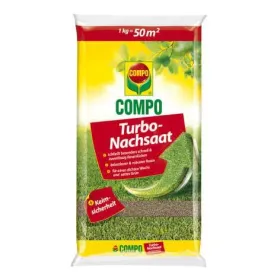 Getränk, Tee, Grüner Tee, Kräuterig, Pflanze