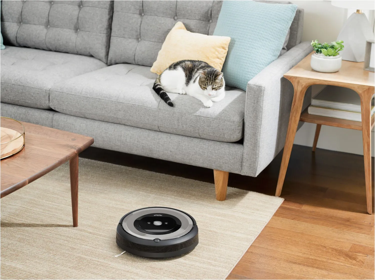 Kaffeetisch, Tabelle, Couch, Dekoration für Zuhause, Wohnzimmer