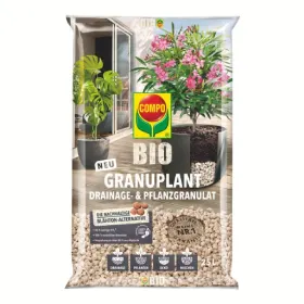 Pflanze, Pflanze im Topf, Krug, Pflanzgefäß, Kräuterig