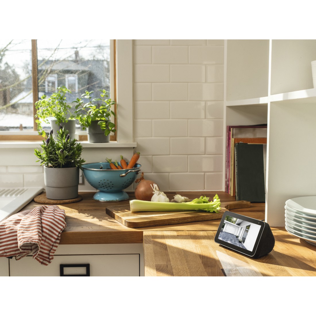 Drinnen, Innenarchitektur, Pflanze, Pflanze im Topf, Tabelle