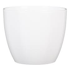 Schale, Porzellan, Töpferei, Glas, Tasse