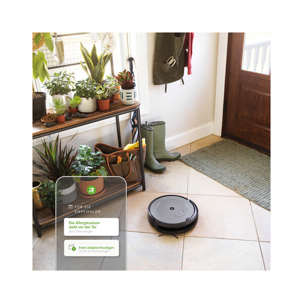 Pflanze, Pflanze im Topf, Fußboden, Bodenbeläge, Innenarchitektur