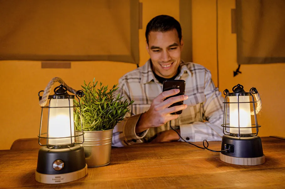 Lampe, Holz, Pflanze, Mann, Person