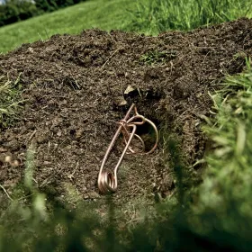 Boden, Gras, Rasen, Draußen, Garten