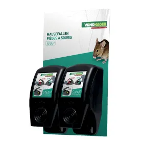 Tier, Säugetier, Ratte, Nagetier