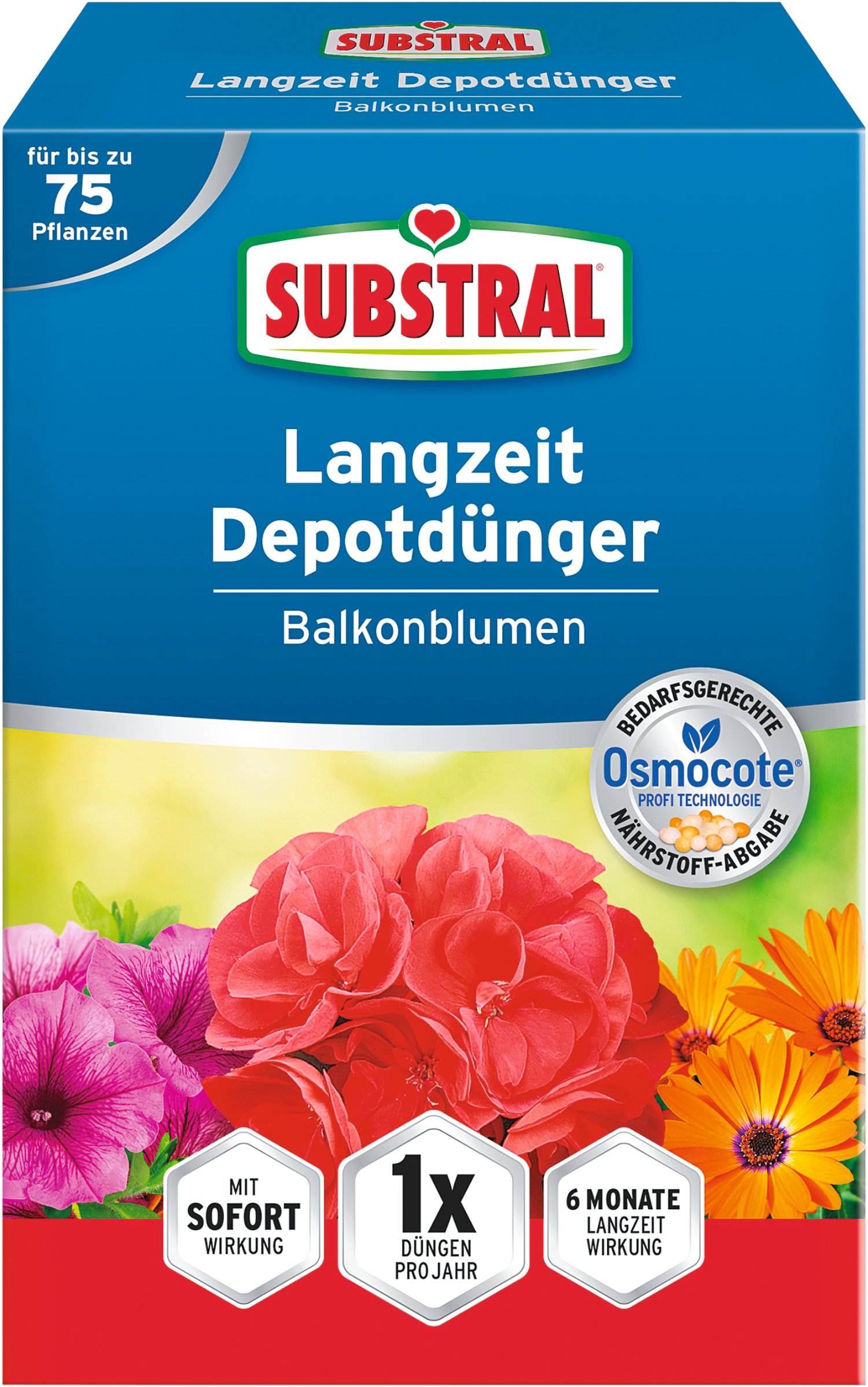Blume, Blütenblatt, Pflanze, Kräuter, Rose
