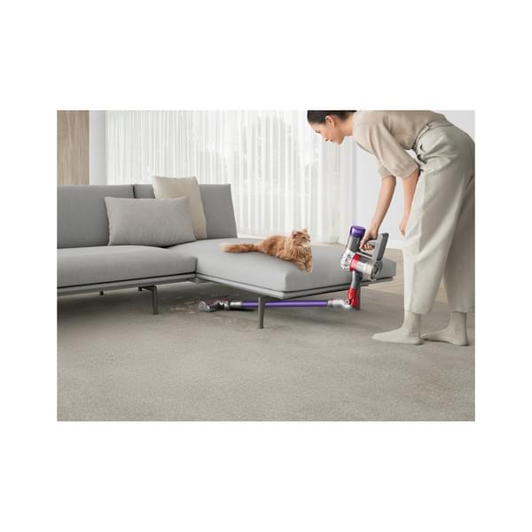 Person, Drinnen, Innenarchitektur, Katze, Haustier