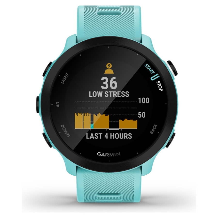 Garmin_Garmin Forerunner 55_1.jpg