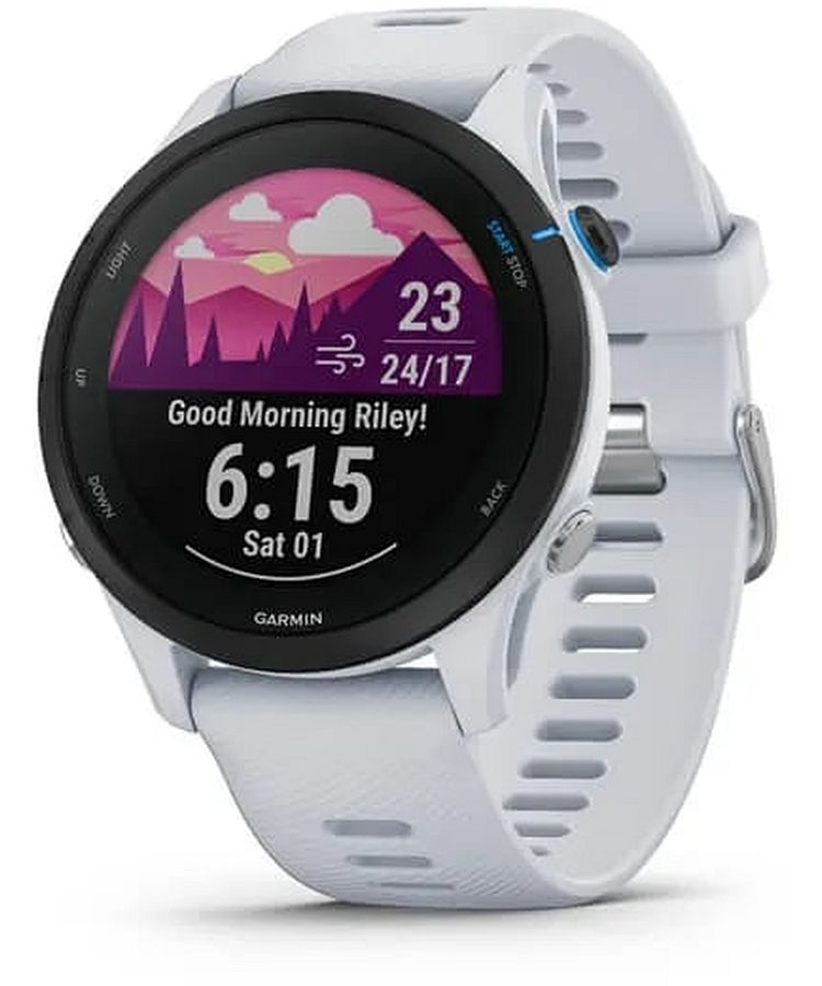 Garmin_Garmin Forerunner 255_1.jpg
